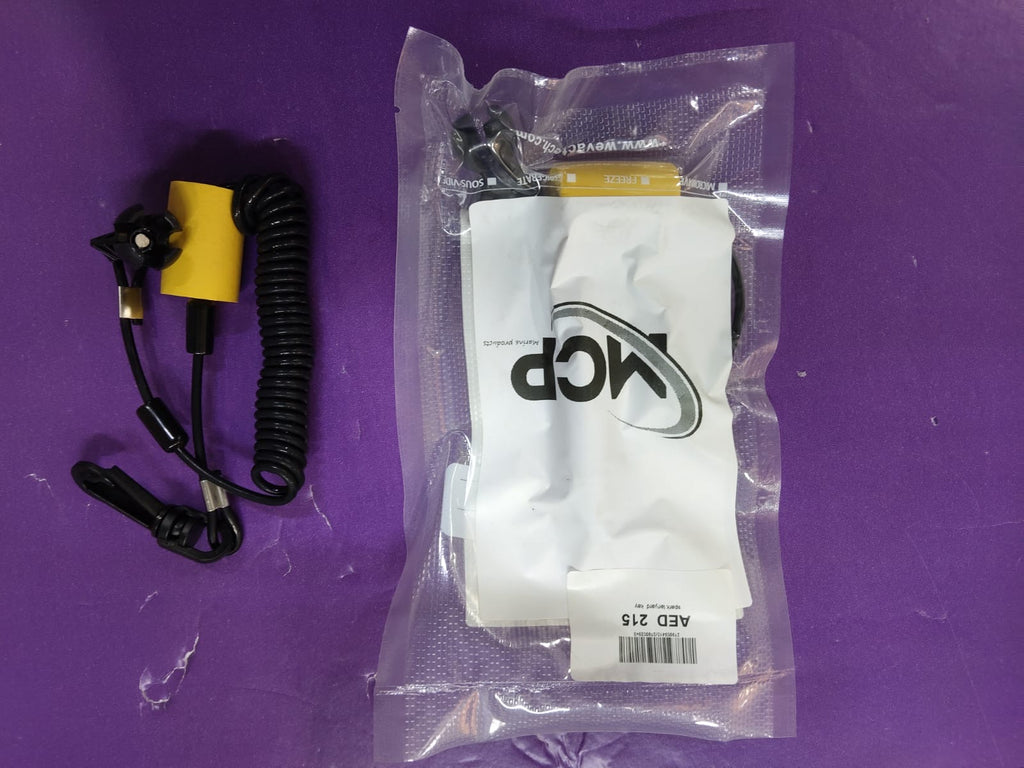 278003410/278002843 Spark lanyard key