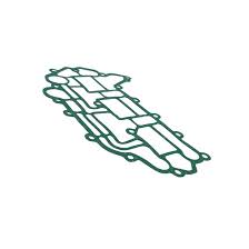 420431820 Spark crank case gasket