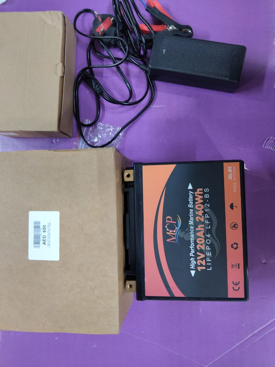 MCP-12V/20AH/240Wh-high performance marine Battery (LIFEPO4 LFP12-BS) With charger